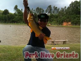 54 -Foto Pesca Esportiva No Park Novo Oriente em Campina Grande do Sul - PR