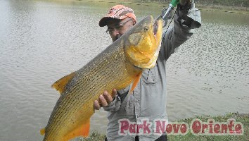 53 -Foto Pesca Esportiva No Park Novo Oriente em Campina Grande do Sul - PR