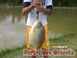 26 -Foto Pesca Esportiva No Park Novo Oriente em Campina Grande do Sul - PR