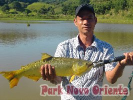 69 -Foto Pesca Esportiva No Park Novo Oriente em Campina Grande do Sul - PR