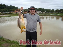 2 -Foto Pesca Esportiva No Park Novo Oriente em Campina Grande do Sul - PR