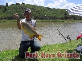 81 -Foto Pesca Esportiva No Park Novo Oriente em Campina Grande do Sul - PR