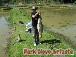 62 -Foto Pesca Esportiva No Park Novo Oriente em Campina Grande do Sul - PR