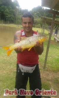 42 -Foto Pesca Esportiva No Park Novo Oriente em Campina Grande do Sul - PR