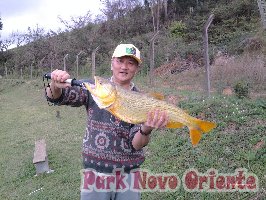 51 -Foto Pesca Esportiva No Park Novo Oriente em Campina Grande do Sul - PR