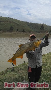 90 -Foto Pesca Esportiva No Park Novo Oriente em Campina Grande do Sul - PR