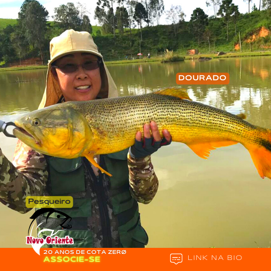 6 -A alegria contagia sua semana com o Park Novo Oriente - PR