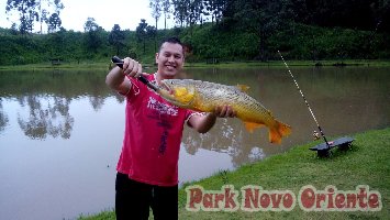 80 -Foto Pesca Esportiva No Park Novo Oriente em Campina Grande do Sul - PR