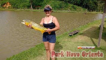 95 -Foto Pesca Esportiva No Park Novo Oriente em Campina Grande do Sul - PR