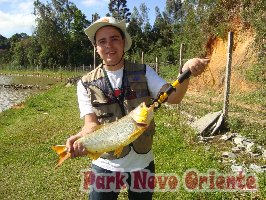 74 -Foto Pesca Esportiva No Park Novo Oriente em Campina Grande do Sul - PR