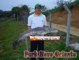 73 -Foto Pesca Esportiva No Park Novo Oriente em Campina Grande do Sul - PR