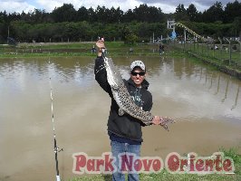 71 -Foto Pesca Esportiva No Park Novo Oriente em Campina Grande do Sul - PR