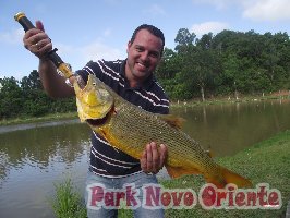 49 -Foto Pesca Esportiva No Park Novo Oriente em Campina Grande do Sul - PR