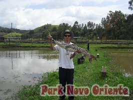 76 -Foto Pesca Esportiva No Park Novo Oriente em Campina Grande do Sul - PR