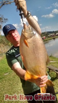 103 -Foto Pesca Esportiva No Park Novo Oriente em Campina Grande do Sul - PR