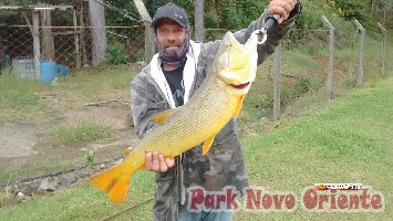 94 -Foto Pesca Esportiva No Park Novo Oriente em Campina Grande do Sul - PR
