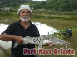 112 -Foto Pesca Esportiva No Park Novo Oriente em Campina Grande do Sul - PR