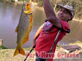 65 -Foto Pesca Esportiva No Park Novo Oriente em Campina Grande do Sul - PR